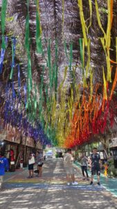 499614427_1462797878028269_4308194602735719605_n